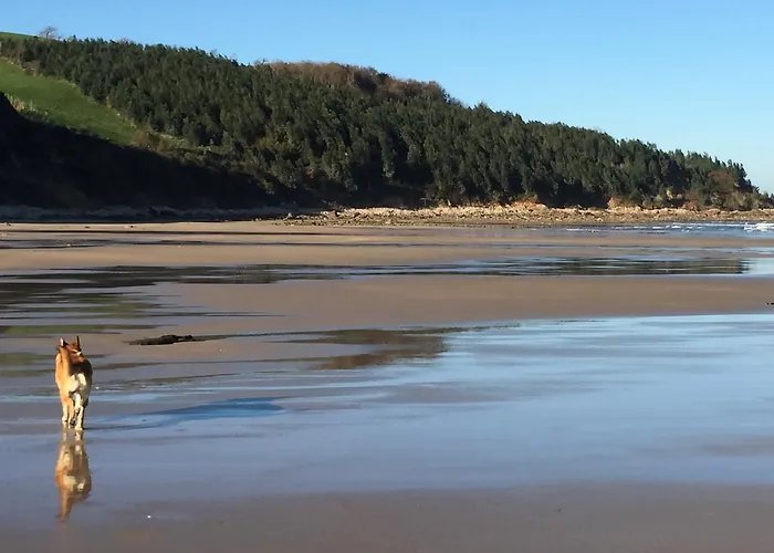 Appartement El Cardeo *