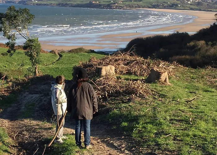 El Cardeo Apartament *